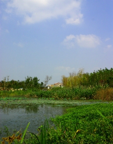 长广溪风景图片