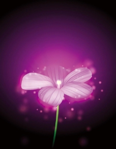 紫色时尚梦幻花纹花朵图片