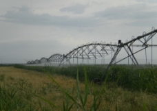 滴灌 田园灌溉图片