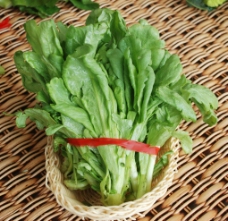 绿色蔬菜生菜图片