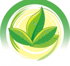 企业类叶子logo图片
