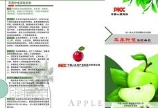 苹果彩页图片