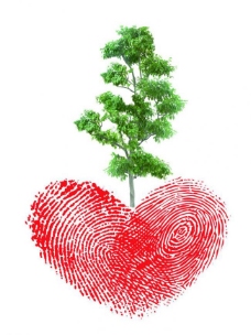 爱护树木 公益海报图片