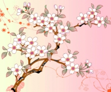 櫻花之美图片