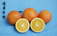 福本脐橙图片