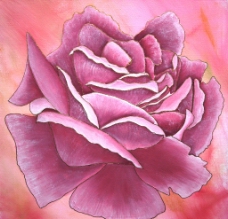 牡丹 花卉油画图片