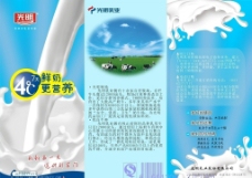 牛奶宣传册 三折页图片