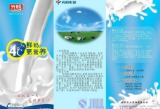 牛奶宣传册 三折页图片