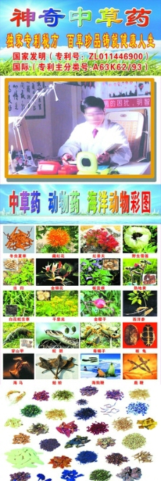 黄金龟中草药宣传展板图片