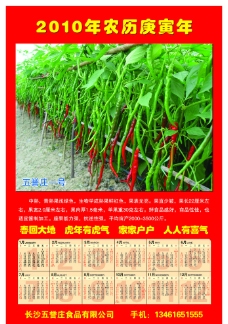 辣椒种植日历图片