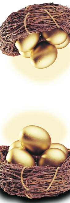 金蛋图片
