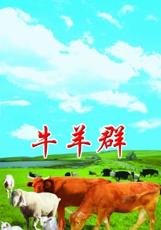 蓝天白云草地牛羊群图片