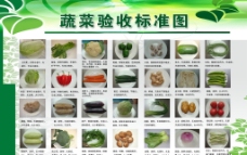 绿色蔬菜蔬菜验收标准展板图片