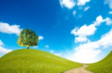 蓝天 白云 绿树图片