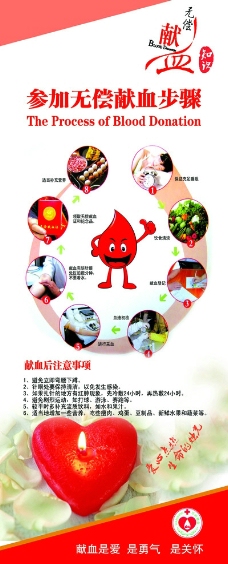 献血步骤宣传展架图片