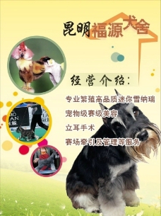 宠物狗宠物美容宣传海报图片