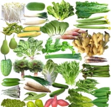 豌豆蔬菜合辑图片