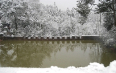 雪景 小溪图片